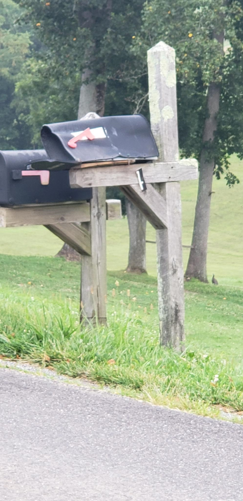mailbox1