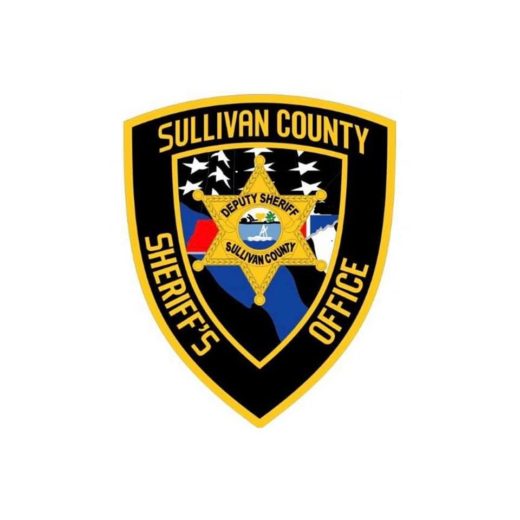 Sullivan County Sheriff's office asking for help locating stolen horses ...